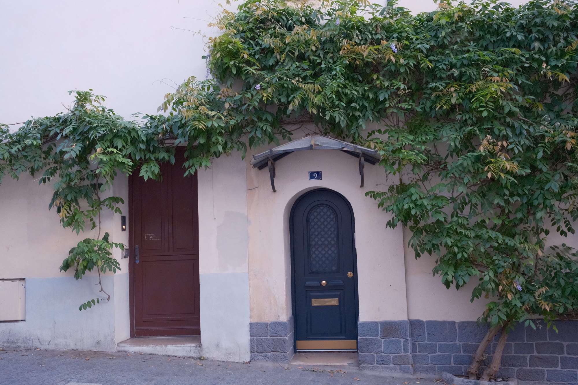 Wisteria spilling over a navy arched door, No. 9