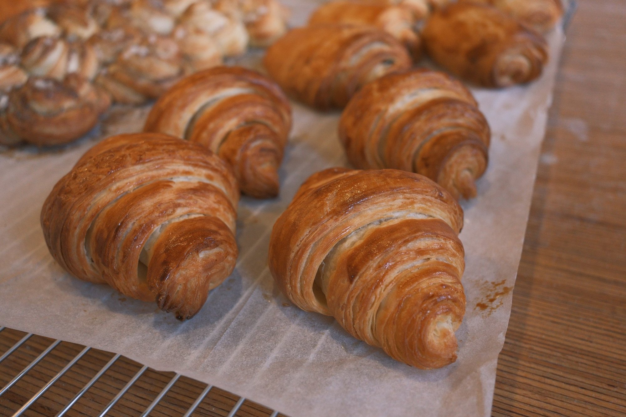 Close view of golden, flaky croissants on parchment