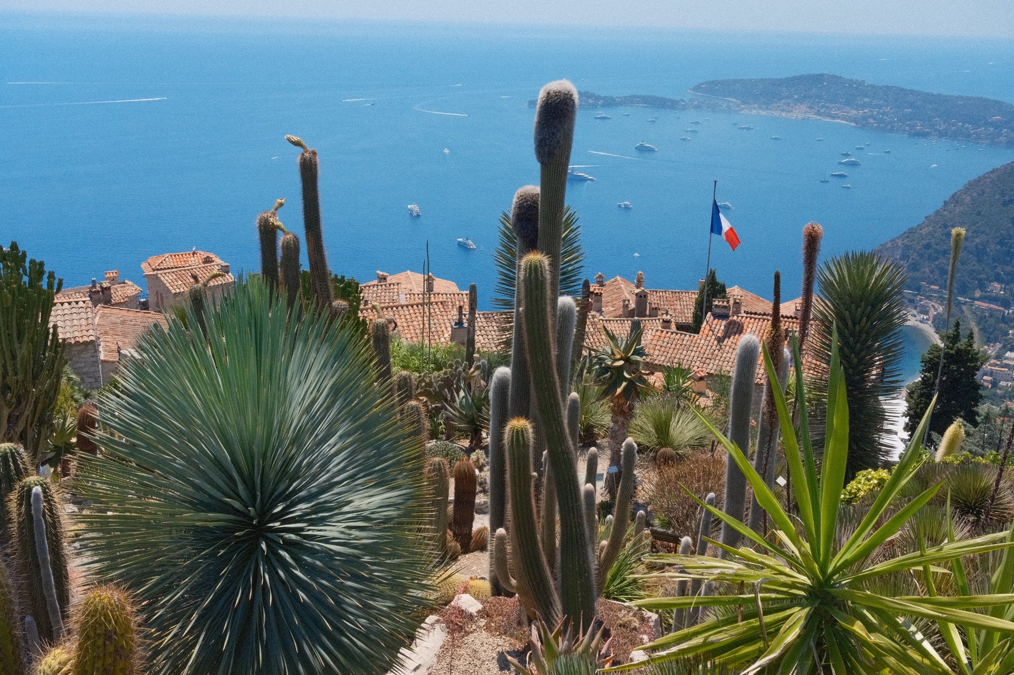 Cacti and agaves of the Jardin Exotique over Èze's roofs and the sea