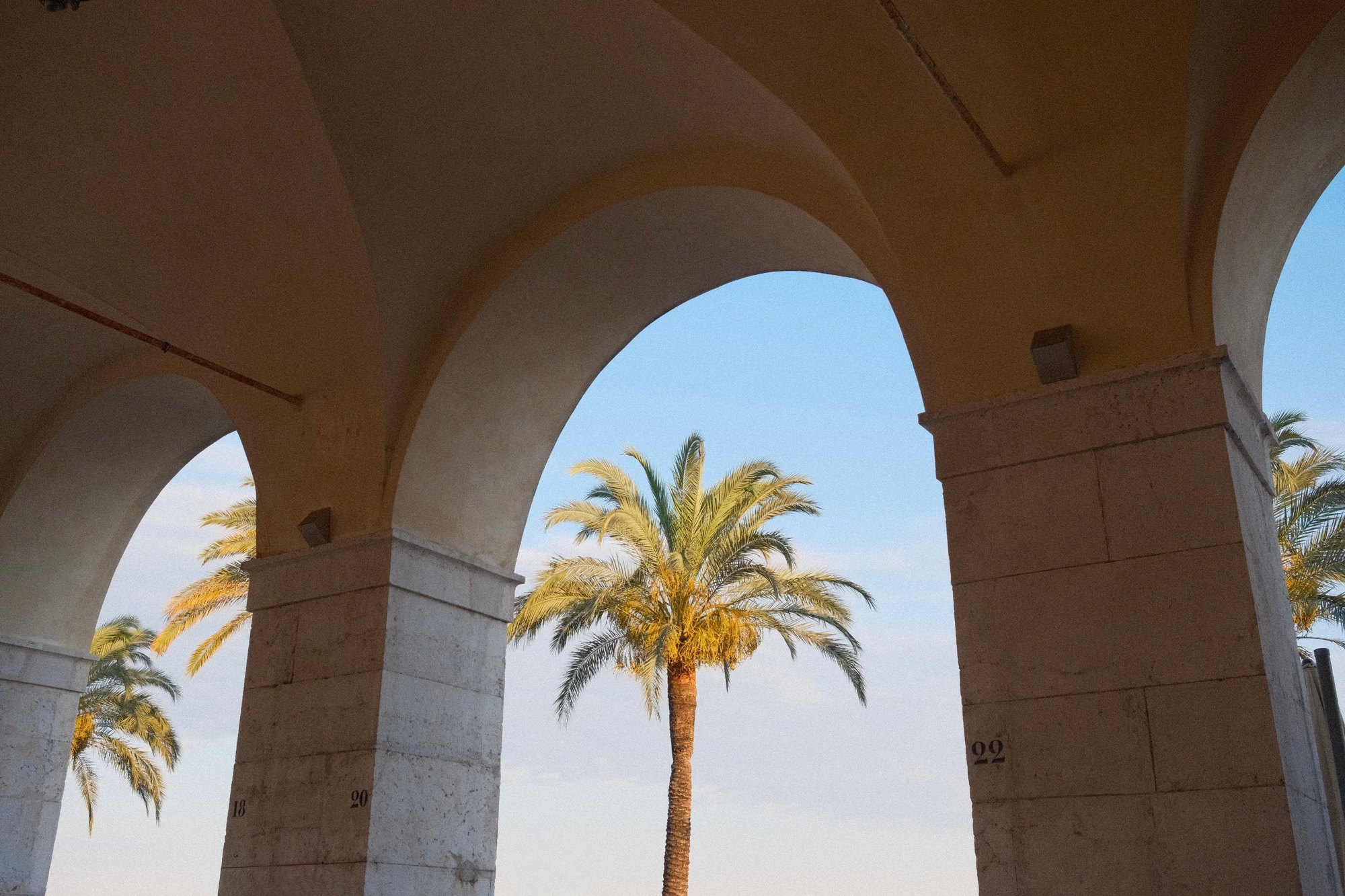 Palm trees framed by golden stone arches